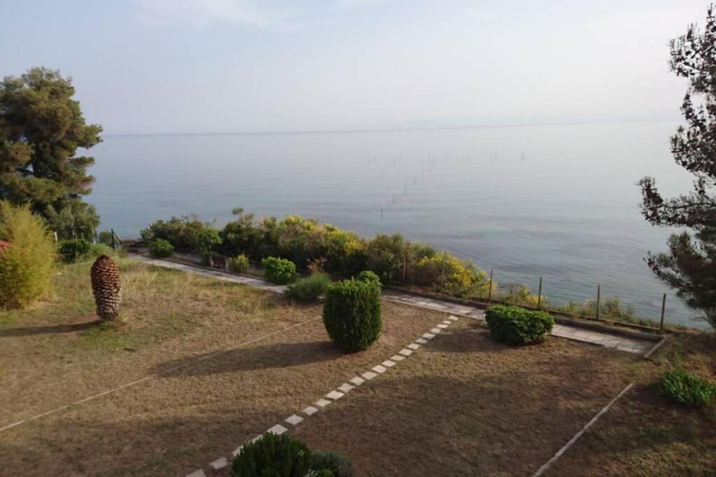 דירות ניאה אירקליה Sunshine House Offering Spectacular Views To Olymp A מראה חיצוני תמונה