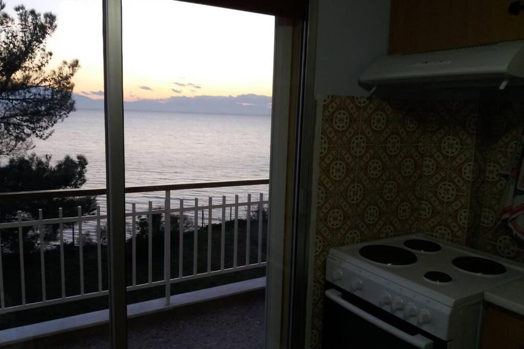 דירות ניאה אירקליה Sunshine House Offering Spectacular Views To Olymp A מראה חיצוני תמונה