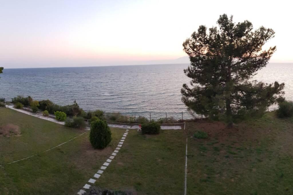 דירות ניאה אירקליה Sunshine House Offering Spectacular Views To Olymp A מראה חיצוני תמונה