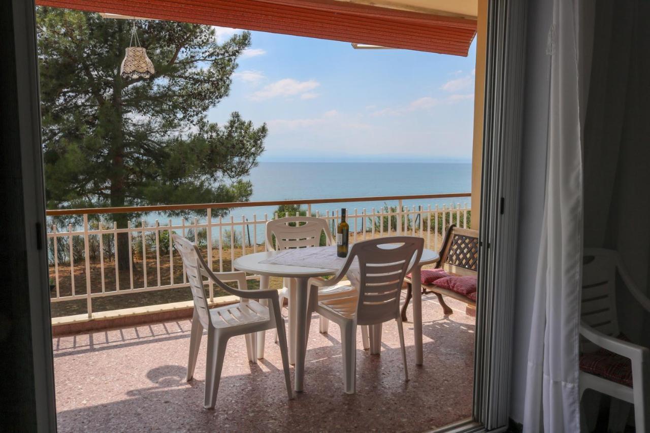 דירות ניאה אירקליה Sunshine House Offering Spectacular Views To Olymp A מראה חיצוני תמונה