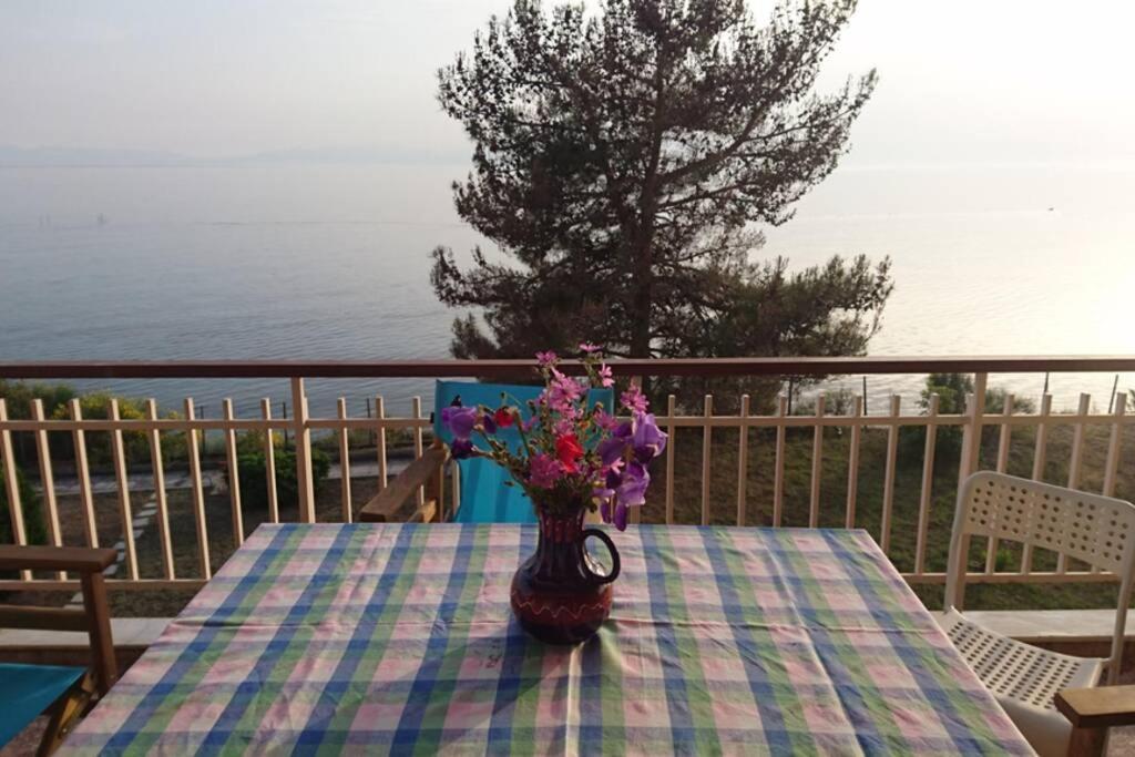 דירות ניאה אירקליה Sunshine House Offering Spectacular Views To Olymp A מראה חיצוני תמונה